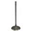 Engine Intake Valve SE V-4643