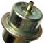 Fuel Injection Pressure Regulator SI PR290