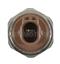 Automatic Transmission Oil Pressure Switch SI PS-537