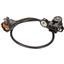 Engine Crankshaft Position Sensor SQ S10276