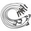 Spark Plug Wire Set SW 6874