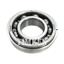 Manual Transmission Countershaft Bearing TM 206L