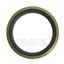 Steering Gear Pitman Shaft Seal TM 313842