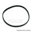 Wheel Seal TM SL260022