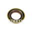 Differential Pinion Seal TM SL260076