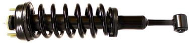 Suspension Strut and Coil Spring Assembly TS 171124