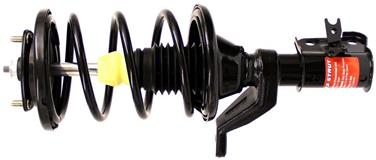 Suspension Strut and Coil Spring Assembly TS 171434