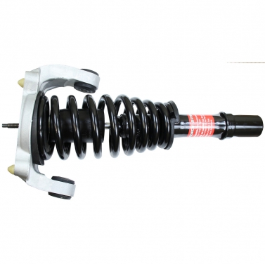 Suspension Strut and Coil Spring Assembly TS 171565L