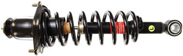 Suspension Strut and Coil Spring Assembly TS 172394L