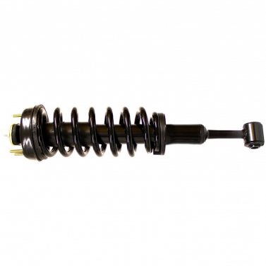 Suspension Strut and Coil Spring Assembly TS 181124