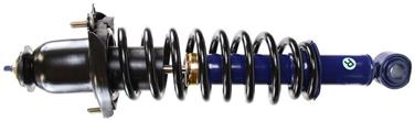 Suspension Strut and Coil Spring Assembly TS 181373R