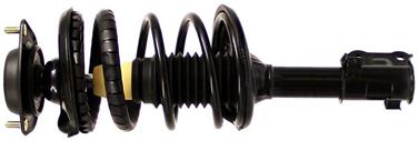 2004 Hyundai Elantra Suspension Strut and Coil Spring Assembly TS 181404