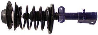 Suspension Strut and Coil Spring Assembly TS 181572L