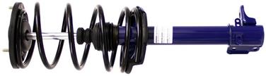 Suspension Strut and Coil Spring Assembly TS 181579