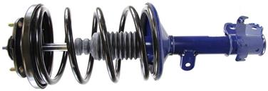 Suspension Strut and Coil Spring Assembly TS 181598