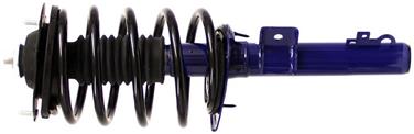 Suspension Strut and Coil Spring Assembly TS 181615