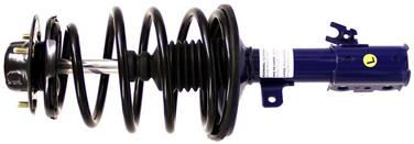 Suspension Strut and Coil Spring Assembly TS 181679