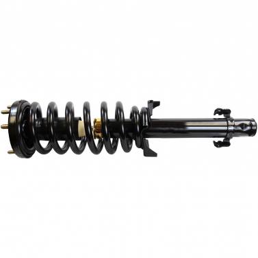 Suspension Strut and Coil Spring Assembly TS 182562L