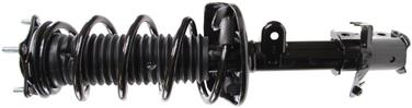 Suspension Strut and Coil Spring Assembly TS 272491