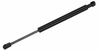 Trunk Lid Lift Support TS 900032