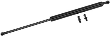 Hood Lift Support TS 900071