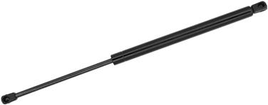 Hood Lift Support TS 900089