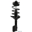 Suspension Strut and Coil Spring Assembly TS 172537