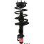 Suspension Strut and Coil Spring Assembly TS 172615