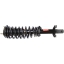 Suspension Strut and Coil Spring Assembly TS 172625