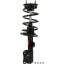 Suspension Strut and Coil Spring Assembly TS 172653