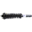 Suspension Strut and Coil Spring Assembly TS 181583R