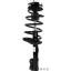 Suspension Strut and Coil Spring Assembly TS 182236