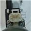 Power Window Motor and Regulator Assembly TY 660210