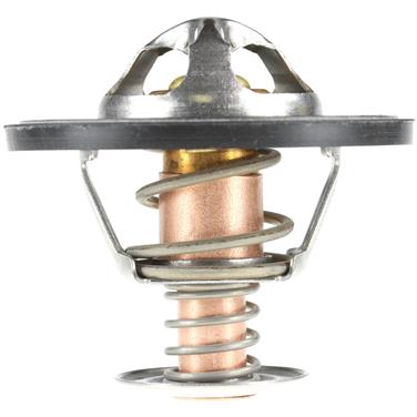 2000 Chevrolet Silverado 1500 Engine Coolant Thermostat TZ 2065-195