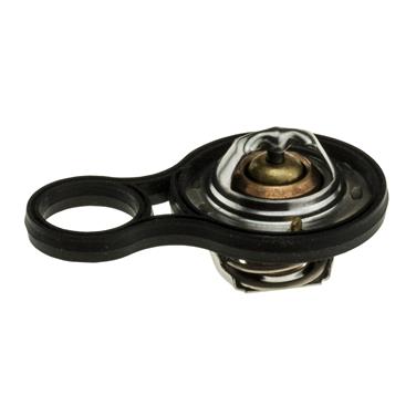 Engine Coolant Thermostat TZ 718-195