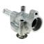 Engine Coolant Thermostat TZ 521-180