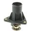 Engine Coolant Thermostat TZ 631-180