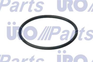 Automatic Transmission Filter O-Ring UR N91084501