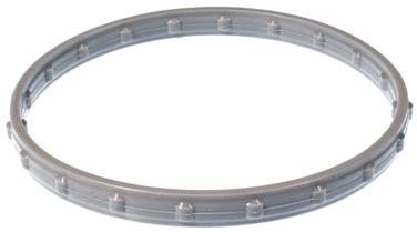 Fuel Injection Throttle Body Mounting Gasket VG G32430