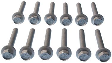 Engine Intake Manifold Bolt Set VG GS33594