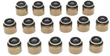 Engine Valve Stem Oil Seal Set VG SS45601