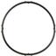 Engine Coolant Thermostat Gasket VG C32010