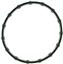 Fuel Injection Plenum Gasket VG G31917