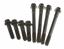 Engine Cylinder Head Bolt Set VG GS33374