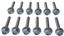 Engine Intake Manifold Bolt Set VG GS33594