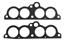 Fuel Injection Plenum Gasket Set VG MS12343