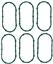 Fuel Injection Plenum Gasket Set VG MS19338