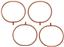 Fuel Injection Plenum Gasket Set VG MS19487