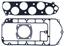 Fuel Injection Plenum Gasket Set VG MS19699