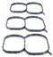 Fuel Injection Plenum Gasket Set VG MS19738